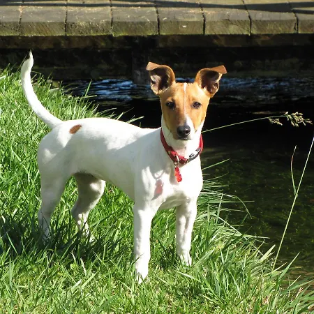 Holiday home Argonne *